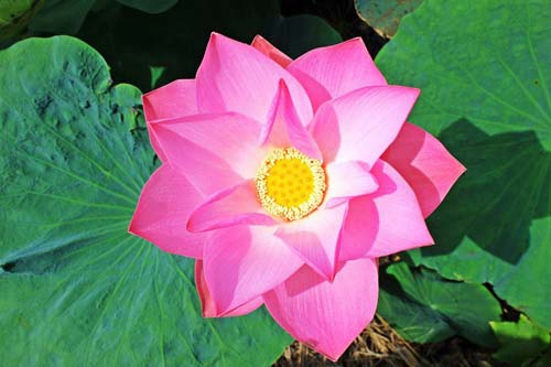 188体育线上平台